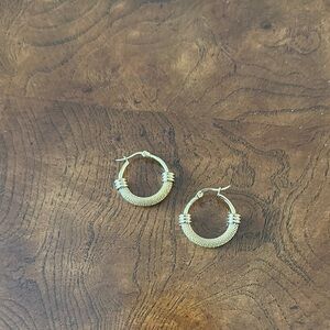 Elegant Gold Hoop Earrings